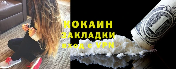 шишки Дмитровск