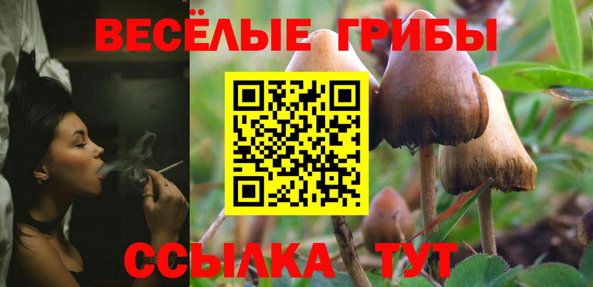 Галлюциногенные грибы Magic Shrooms  Псилоцибиновые грибы GOLDEN TEACHER  Вход с VPN  Богородск 